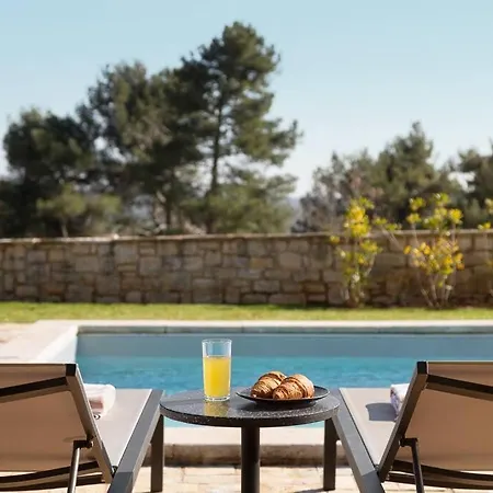 Rustic Clematis With A Pool In Istria Villa *